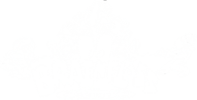 BRAIN FLOSS RECORDS